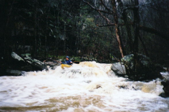 Shane on the last drop into the Locust.&nbsp;
If you paddle by Big Scirum and you see this much water, hit it.