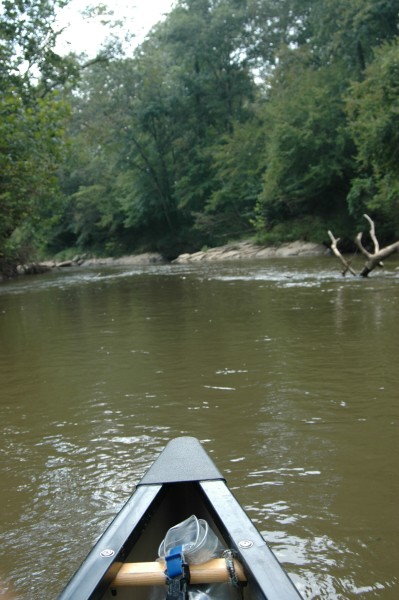 Downstream View

(photo courtesy Lex Brown at Tallapoosa Outfitters)
