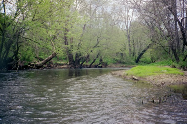 Terrapin Creek

(Photo Courtesy Mark Cumnock