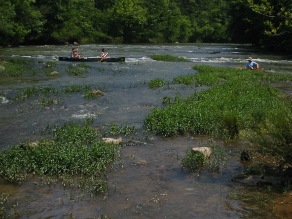 Little Cahaba River Upper Section, one
of the shoals before the first "big" (2ft) drop
&nbsp;
(photo courtesy Andreas Gayde)