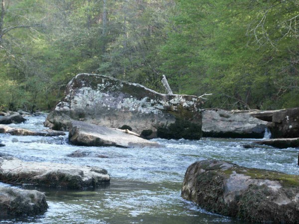 These rocks may induce some action at high water

(photo courtesy Jason Jackson)