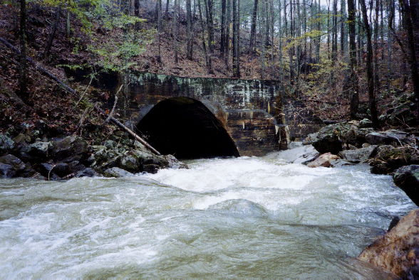 The tunnel under the railroad and the
rapid just upstream.