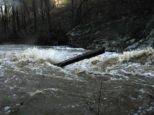 This log is the primary reason we walked the preceding rapid.
(beefy to near flood in 2004)