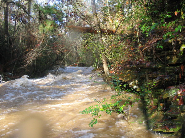 Shows the same rapid at a wee higher level in 2004. (beefy to near flood in 2004)